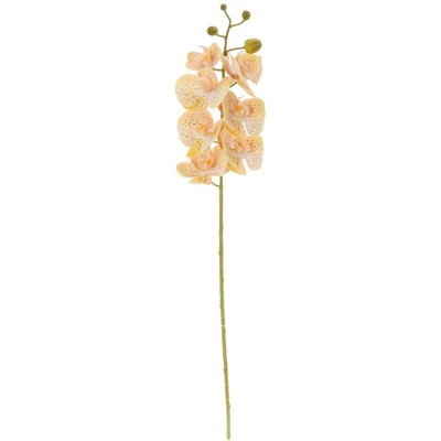 KS ORCHIDEA PHALAENOPSIS BLEDO-ŽLTÁ/HNEDÁ 73CM