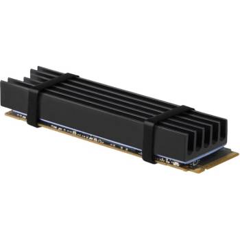 AXAGON CLR-M2L10