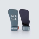Picsil Phoenix