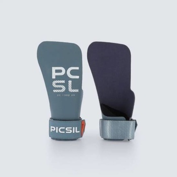 Picsil Phoenix