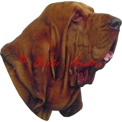 Samolepka bladhaund, bloodhound - archiv 638