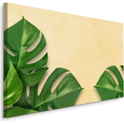 MyBestHome BOX Plátno Monstera Listy Na Béžovém Pozadí Varianta: 100x70