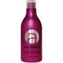 Stapiz Šampón na okyslenie vlasov Acid Balance 300 ml