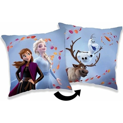 Jerry Fabrics Vankúš Frozen 2 Wind 02 40x40
