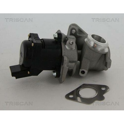 AGR-Ventil TRISCAN 8813 10010 (881310010)