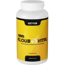 HCY Vitality KloubVital 320 g