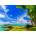 Enjoy - Puzzle Island Breeze - 1 000 piese