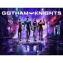 Gotham Knights
