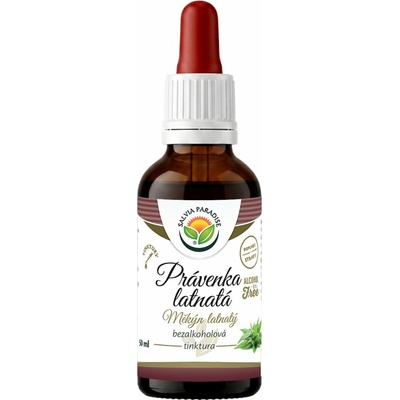 Salvia Paradise Právenka latnatá AF tinktura 50 ml