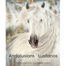 Andalusians & Lusitanos