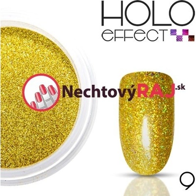 Hit Holografický prášok 09