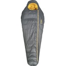 Patizon D 890