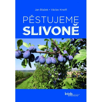Pěstujeme slivoně