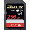 SanDisk SDXC UHS-I U3 256 GB SDSDXXD-256G-GN4IN