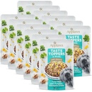 Applaws Taste Toppers in Broth tuniak s tekvicou, kelom a cícerom 12 x 85 g