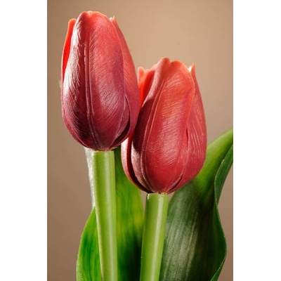 Paramit Umělý tulipán tmavě červený 40 cm