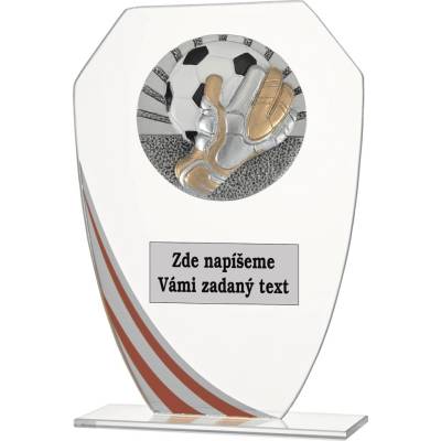 VIZINGR Fotbal brankář sklo W191.08-FG076 W191.08-FG076/17,5 cm