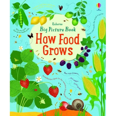 Big Picture Book How Food Grows Bone Emily