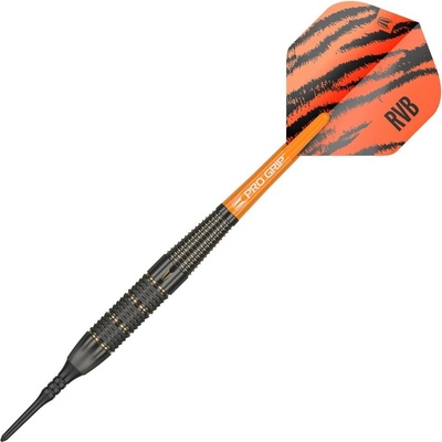 Soft šipky Target Raymond van Barneveld 18g