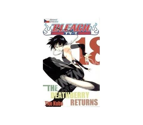 Bleach 18 česky