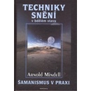 Techniky snění - Arnold Mindell