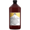 Davines NATURALTECH Purifying čistící šampon na mastné nebo suché lupy 1000 ml