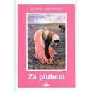 Za pluhem