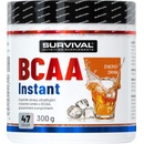 Survival BCAA Instant 300 g