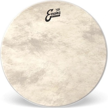Evans BD22GB4CT