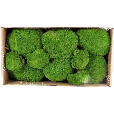 Stabilizovaný mach bochníčky 0,2 kg - svetlo zelený
