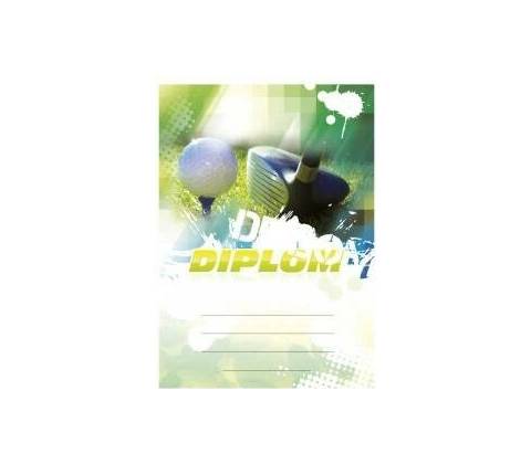 Diplom 6623