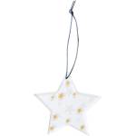 Raeder Коледна висулка Ice Star на звездички 8, 5 см (C92222)