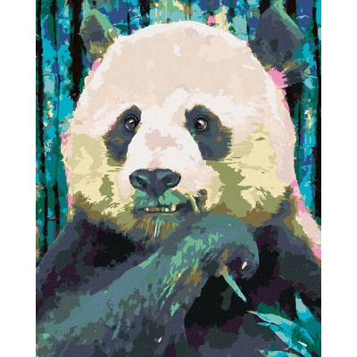 Zuty Malování podle čísel BAREVNÁ PANDA