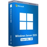 Microsoft Windows Server CAL 2025 ENG (EP2-25279)