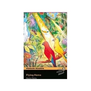 Flying Home + CD - Stephen Rabley