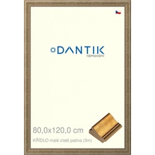 DANTIK rám na obraz 80x120 | KŘÍDLO malé zlaté patina (Plexi Čiré)