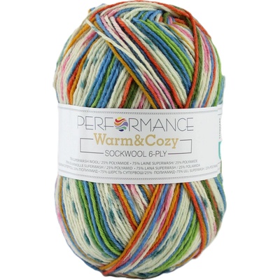 Příze Performance Warm&Cozy multicolor