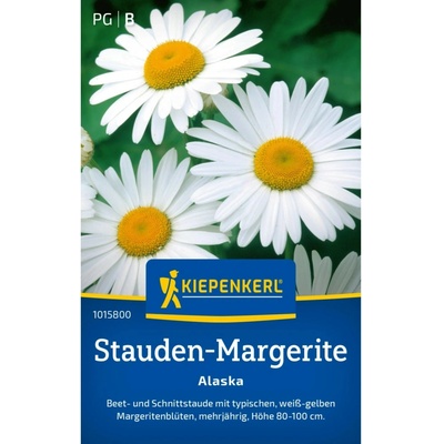 Kiepenkerl Trvalá sedmikráska Alaska Leucanthemum