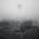 Trna - Istok LP