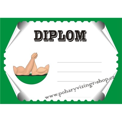 VIZINGR Páka diplom A4 č.1