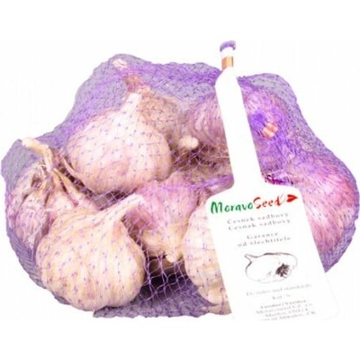 Česnek paličák sadbový Topaz 5ks