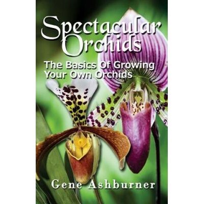 Spectacular Orchids: The Basics Of Growing Your Own Orchids
