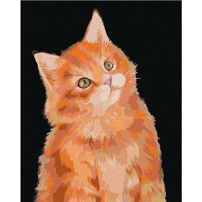 Zuty Malování Podle čísel Zrzavý Kocour Na Tmavém Pozadí Myroslava Voloschuk 40 x 50 Cm Plátno