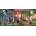 Clementoni - Puzzle Visionaria - 13 200 piese