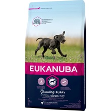 Eukanuba Active Adult Large Breed Chicken 2 x 15 kg