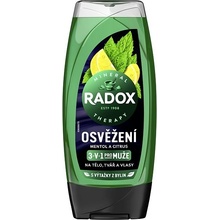 Radox Refreshment Menthol And Citrus Osviežujúci sprchovací gél 225 ml