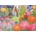 Falcon - Puzzle Flower Show: Optimism and Joy - 1 000 piese