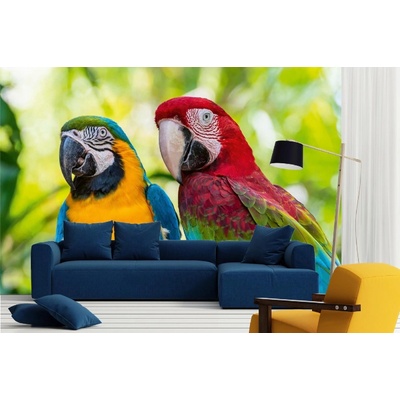 Dimex MA-5-0412 Samolepicí vliesová fototapeta na zeď Modrý a zlatý Macaw rozměry 375 x 250 cm