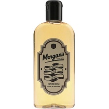 Morgan's Spiced Rum vlasové tonikum 250 ml