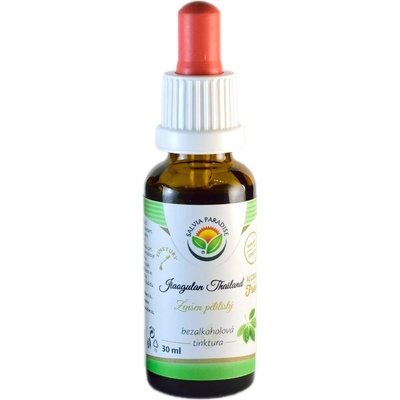 Salvia Paradise Jiaogulan Thailand AF tinktura 30 ml